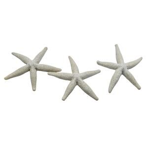 Set of Three White Plaster Starfish Coastal Decor